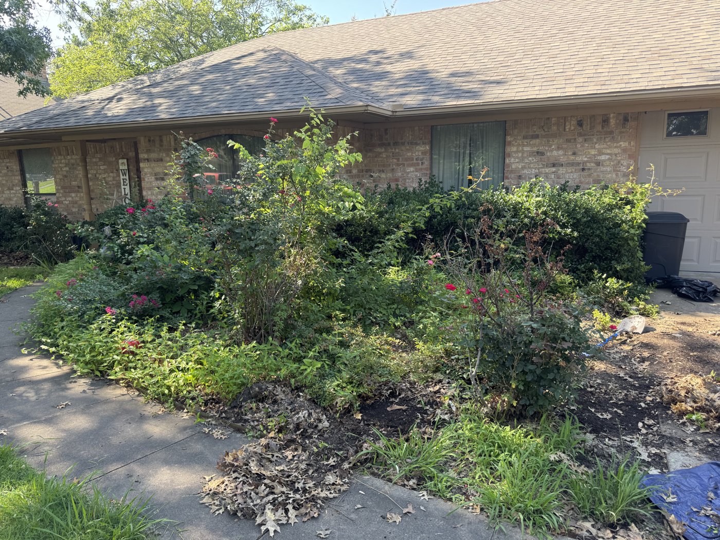 Overgrown flower bed with weeds and leaf buildup before cleanup in Edmond, Oklahoma